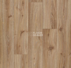 Линолеум Forbo Eternal Wood 10832 hazelnut oak фото 1 | FLOORDEALER